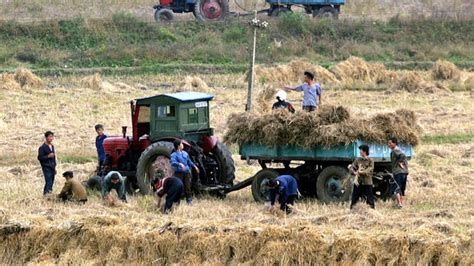 Under normal circumstances, i'd follow up communicating with recently escaped north koreans these conditions led to mass famine in the 1990s after the soviet union collapsed, and food supplies failed. As Winter Food Shortage Looms, North Korean Firms Focus on ...