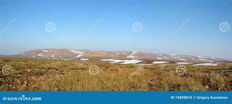 Spring In Tundra Panorama Of North Siberia Stock Photo Image Of