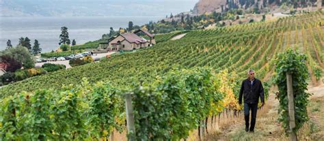 Okanagan Valley Wine Region Of British Columbia Wine Bc