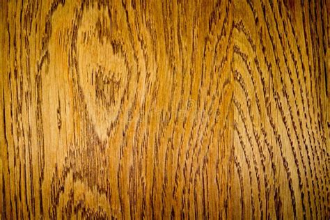 Polished Oak Wood Board Background Texture Stock Photo Image Of