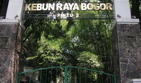 Segini Harga Tiket Masuk Kebun Raya Bogor Tempat Wisata Tertua Di Indonesia