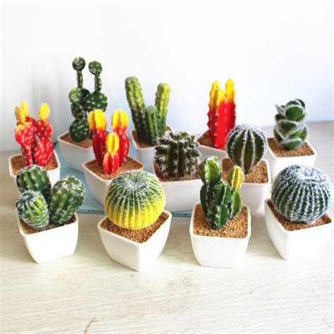 While the external adaptation to the leaves, roots and stems are not to be ignored, the biggest adaptation the cactus (and his relatives). 1 Set Artificial Plant Cactus Prickly Pear Vase Tropical ...