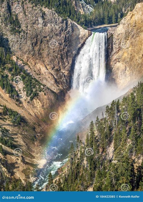 Morning Rainbow Over The Lower Falls Of The Yellowstone Stock Image