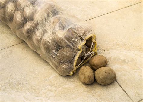 In The Sack Of Potatoesa Sack Of Potatoespotatoespictures Stock