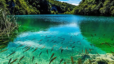 Beautiful Turquoise Lake In Plitvice National Park Croatia 947552