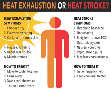 Stay Safe In Extreme Heat St Mary S County Health Department