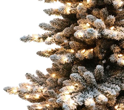 75 Prelit Flocked Spruce Christmas Tree 700 Clear Lights