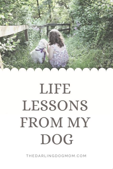 Life Lessons From My Dog — The Darling Dog Mom Life Lessons Dog Mom