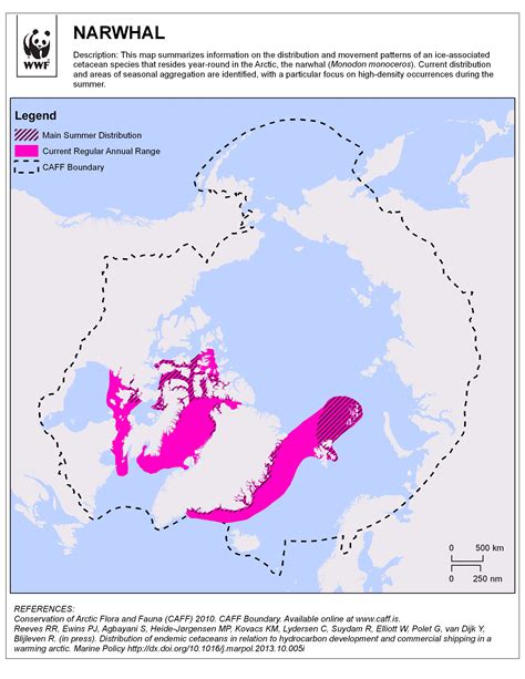 Narwhal Monodon Monoceros Wwf Canada