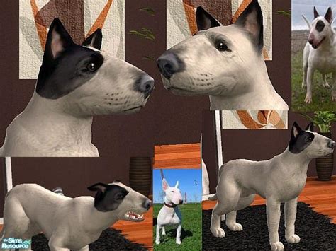 The Sims Resource Bull Terrier