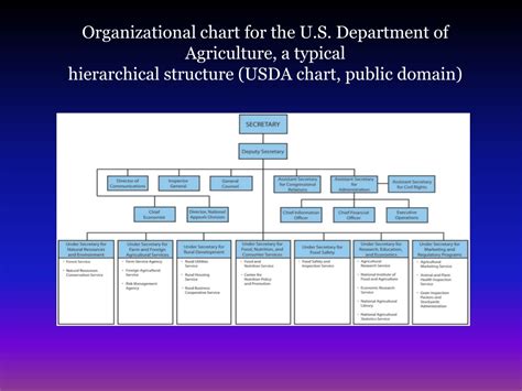 Ppt Unit Three Institutions Of Government Powerpoint Presentation