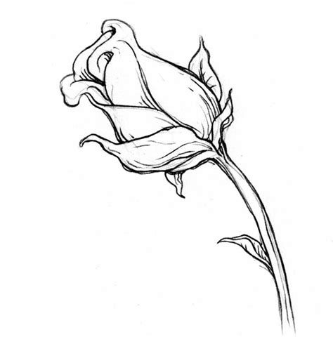 Disegni tumblr facili di fiori. disegni-a-matita-facili-bocciolo-rosa-parte-gambo-piccola-foglia-lato-bianco-nero | Disegni a ...