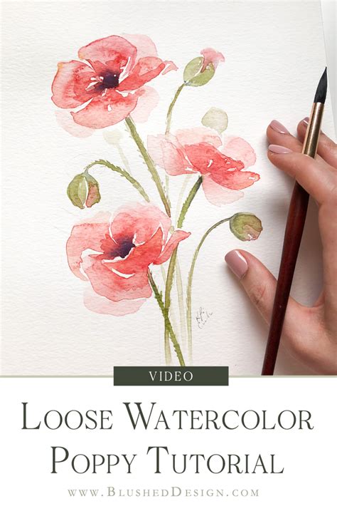 Loose Watercolor Poppy Tutorial Blushed Design