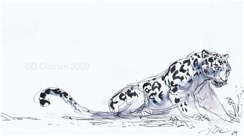 Maybe you would like to learn more about one of these? Jaguar Drawing by davidsdoodles in 2021 | Animal art ...