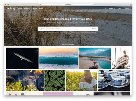 24 Free Stock Photo Websites For Every Situation 2025 Colorlib