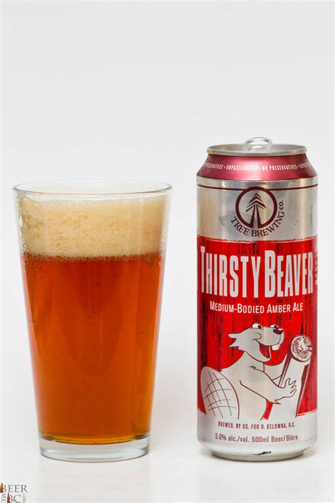 1 packet dry brewing yeast (under lid of brewing extract). Tree Brewing Company - Thirsty Beaver Amber Ale | Beer Me ...