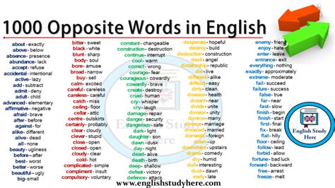1000 Opposite Words In English English Study Here Opposite Words