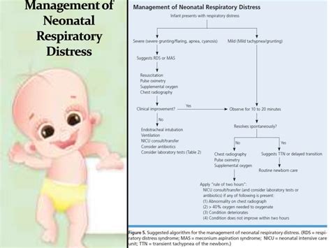 Respiratory Distress Syndrome In A Premature Baby
