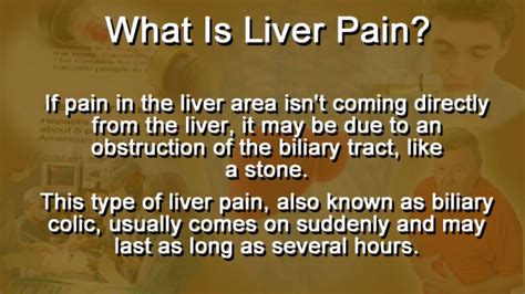 Diagram And Location Of Liver