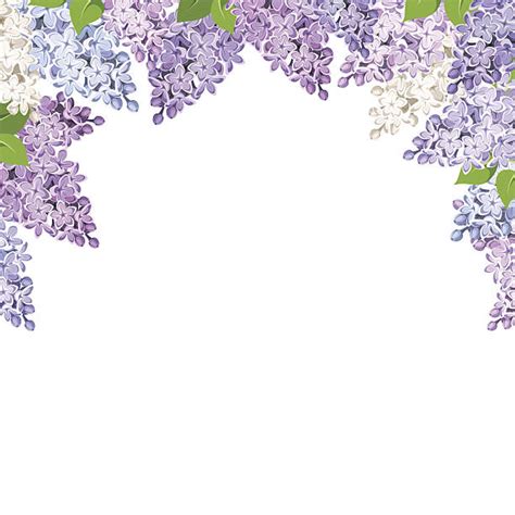 Spokane, washington is known as the lilac city, and they are one of several cities to hold lilac festivals. free clip art lilacs 10 free Cliparts | Download images on ...