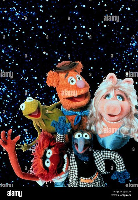 Kermitfozziems Piggyanimal Film Muppets From Space Usa 1999