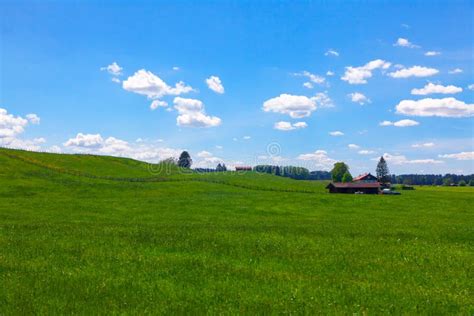 Green Farmland Stock Photo Image Of Hill Plain Farmland 241843742