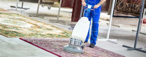 Area Rug Cleaning Chicago Carpet Care