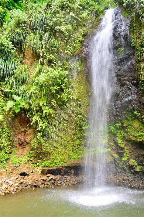 Tropical Waterfall In Portrait Aspect Stock Image Image Of Waterfall