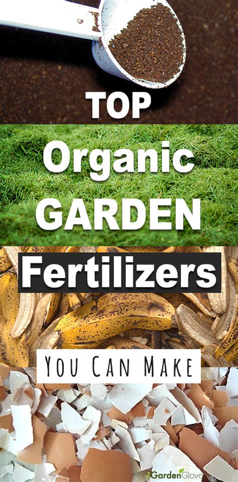 Each type of fertilizer can be classified as either organic or inorganic. 6 ORGANIC FERTILIZERS YOU CAN MAKE FROM THINGS YOU USUALLY ...