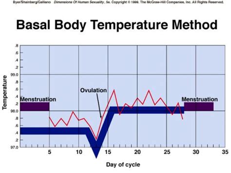 During the first part of a woman's menstrual cycle, known as the follicular phase, basal body temperatures will be lower than normal. My Struggle with Infertility: I Hate Waiting Games