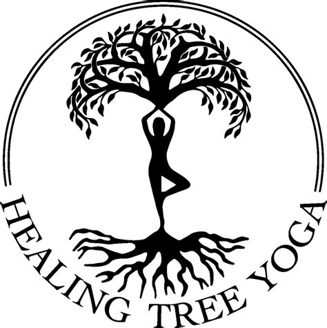 healing tree yoga 55 reviews 218 sea st quincy massachusetts yoga phone number
