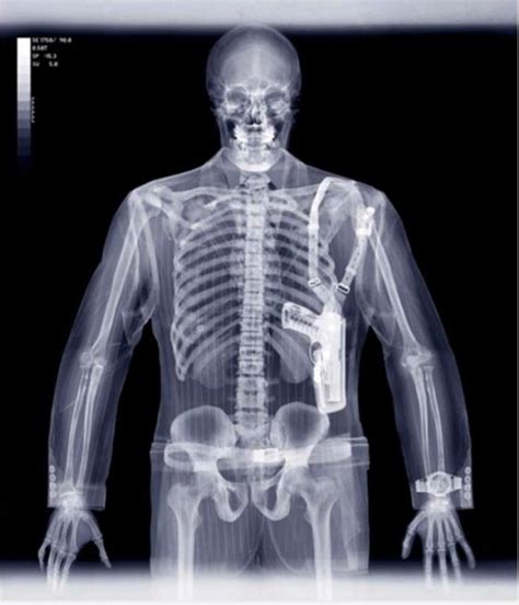 X Ray Vision Nick Veasey Photos