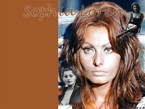 Sophia Loren Sophia Loren Wallpaper 9581492 Fanpop