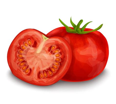 Tomate Vector Gratis