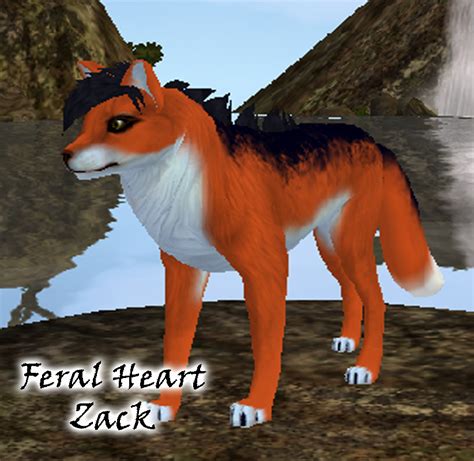 Zack Feral Heart By Dsh96 On Deviantart