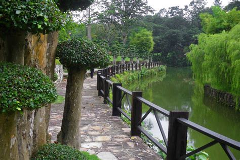 Lake gardens, perdana lake gardens, public gardens (en). Lake Gardens: i giardini di Kuala Lumpur - Nella Terra di ...