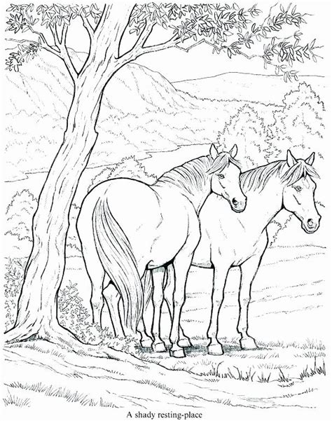 Realistic Horse Coloring Pages To Download And Print For Free