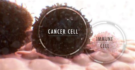 Video How Does Immunotherapy Work Ctca