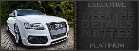 Executive Platinum Dtailz Auto Detailing 813 207 0480