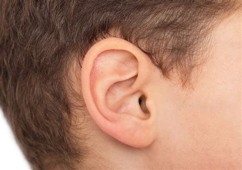 Ear Lobe Ears And Hearing Uk