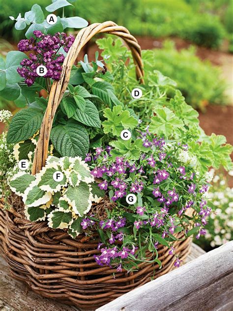 36 Container Garden Ideas To Inspire Your Own Pretty Plantings