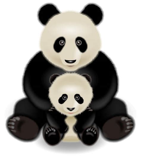 Two Giant Pandas Illustrations Royalty Free Vector Graphics And Clip Art