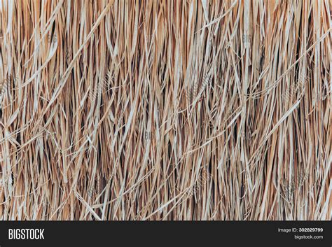 Thatch Roof Background Image And Photo Free Trial Bigstock