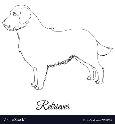 Golden Retriever Dog Outline