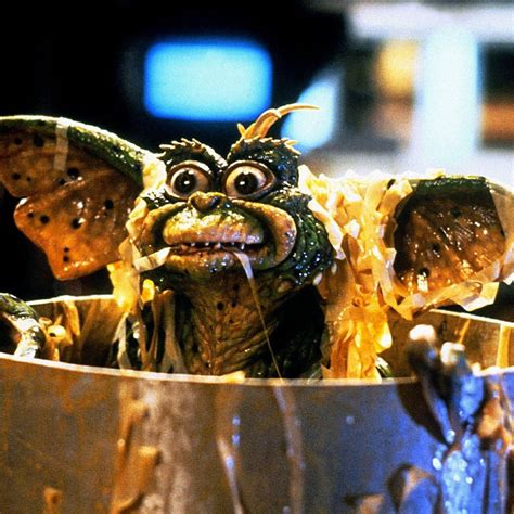 4.4 out of 5 stars. 15 Things You (Probably) Didn't Know About Gremlins