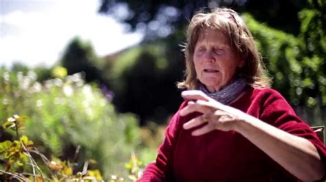 Permaculture Design New Zealand Youtube