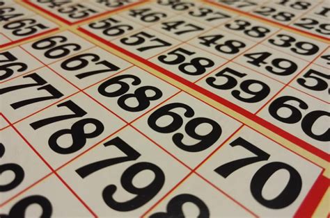 The Different Types Of Bingo Games You Can Play Flavourmag