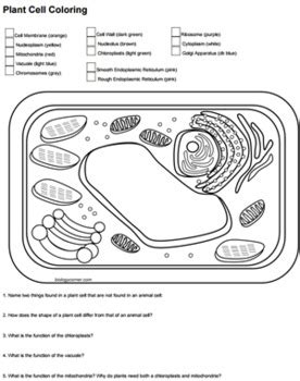 Plant & animal cells · parts of a flower · fish · animal cell coloring · flower structure & reproduction · amphibians · plant cell coloring · fungi . Plant Cell Coloring (Key) by Biologycorner | Teachers Pay ...