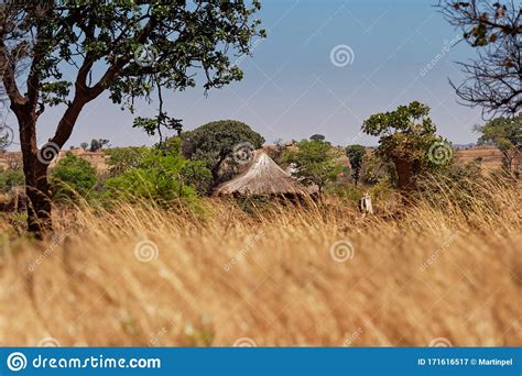 African Traditional Village With The Thatch And Earthen Walls In