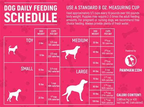 The Ultimate Dog Feeding Schedule Time And Chart In 2021 Dog Feeding